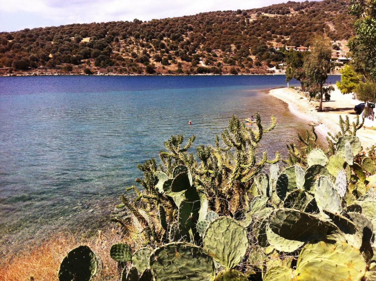 Sea Front Studio - Porto Boufalo - Evia 외부 사진